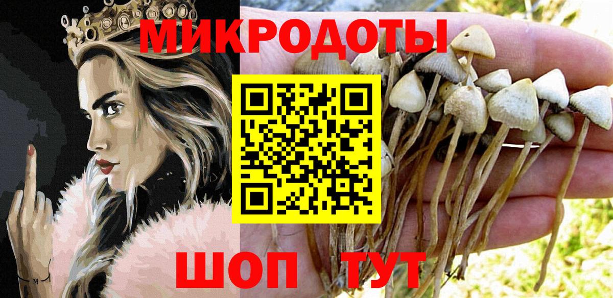 Галлюциногенные грибы Cubensis  Вход с VPN  Галлюциногенные грибы ЛСД  Вичуга 